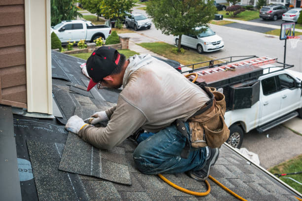 Professional Roofing technician working in Cambria, IL